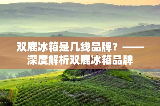 双鹿冰箱是几线品牌?——深度解析双鹿冰箱品牌 双鹿冰箱是几线品牌?——深度解析双鹿冰箱品牌
