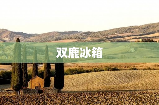 双鹿冰箱:老牌子还是新生力量? 双鹿冰箱:老牌子还是新生力量?