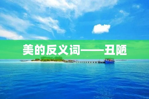美的反义词——丑陋