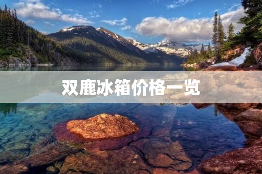 双鹿冰箱价格一览：如何选择适合自己的款式？