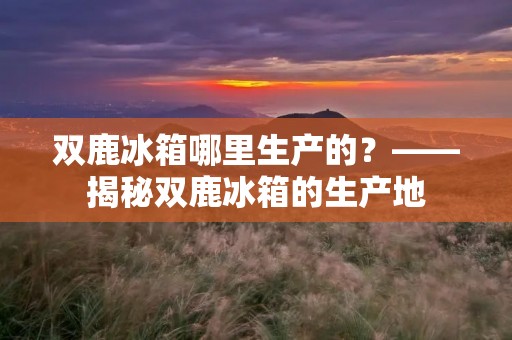 双鹿冰箱哪里生产的?——揭秘双鹿冰箱的生产地 双鹿冰箱哪里生产的?——揭秘双鹿冰箱的生产地