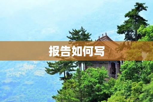 报告如何写