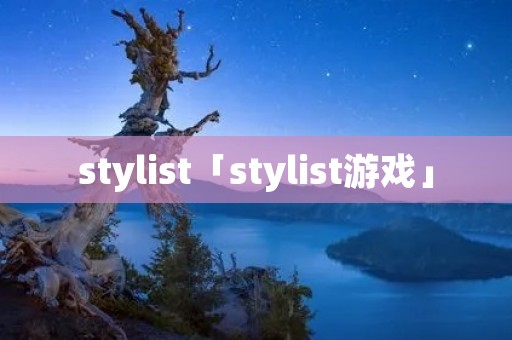 stylist「stylist游戏」