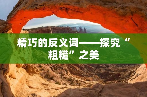 精巧的反义词——探究“粗糙”之美