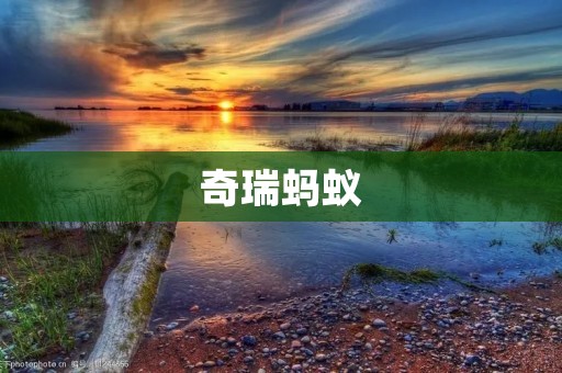 奇瑞蚂蚁：中国自主品牌的新起点