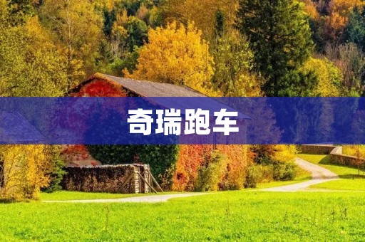 奇瑞跑车:跑出奇迹的速度与** 奇瑞跑车:跑出奇迹的速度与**