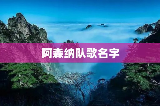 阿森纳队歌名字：《腰斩之歌》