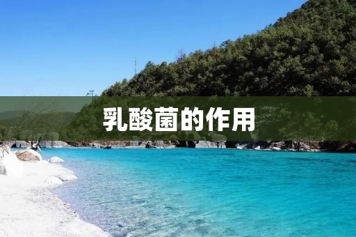 乳酸菌的作用