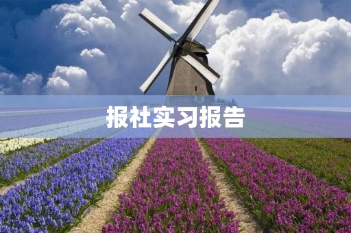 报社实习报告：深入新闻一线的收获与感悟