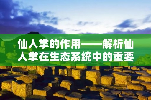 仙人掌的作用——解析仙人掌在生态系统中的重要性