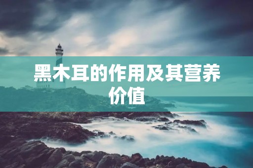 黑木耳的作用及其营养价值