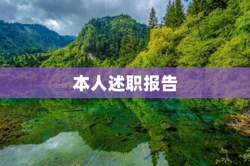 本人述职报告:我的工作成果与反思