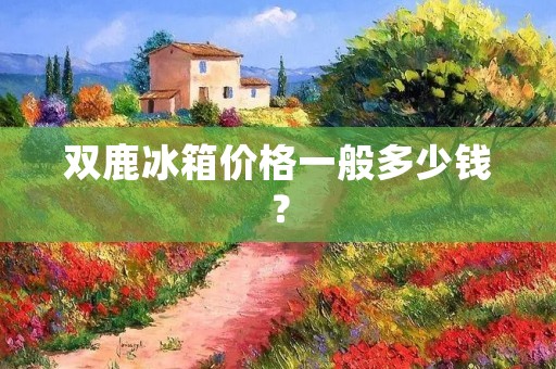 双鹿冰箱价格一般多少钱？