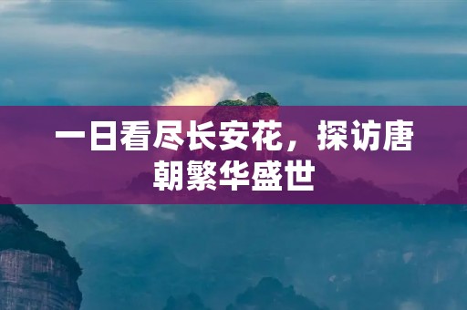 一日看尽长安花，探访唐朝繁华盛世
