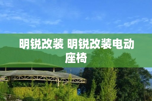 明锐改装 明锐改装电动座椅