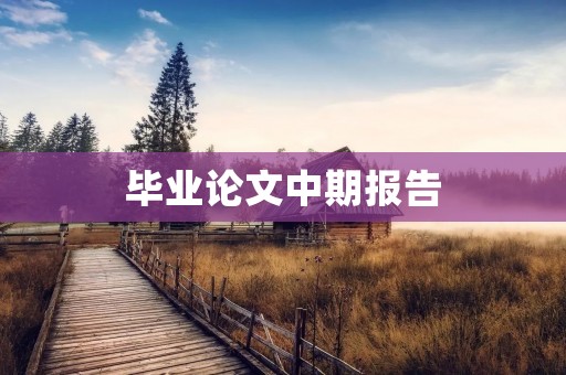 毕业论文中期报告:基于网络舆情分析的品牌危机应对策略研究