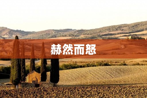 赫然而怒：对于无良商家的愤怒