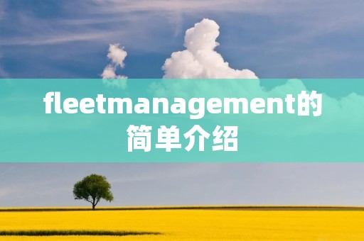 fleetmanagement的简单介绍