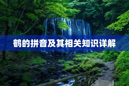 鹤的拼音及其相关知识详解 鹤的拼音及其相关知识详解