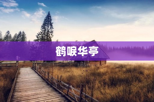 鹤唳华亭:一部跨越时空的历史巨作 鹤唳华亭:一部跨越时空的历史巨作