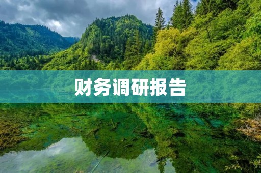财务调研报告:分析公司财务状况及未来发展趋势