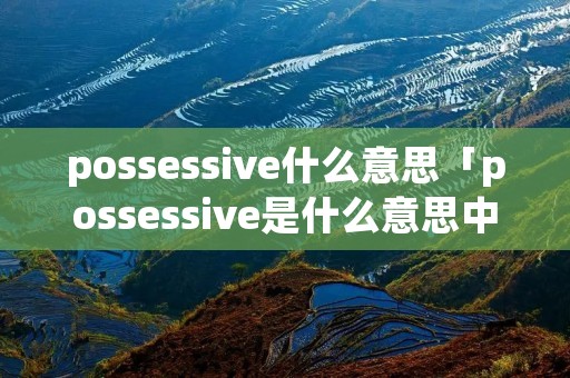 possessive什么意思「possessive是什么意思中文」