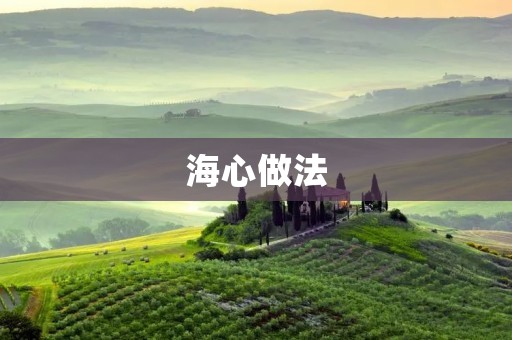 海心做法：让你的菜肴更加美味