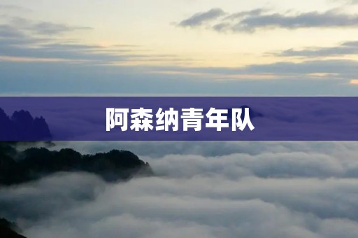 阿森纳青年队：未来足球之星的摇篮