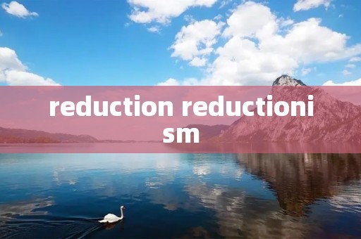 reduction reductionism
