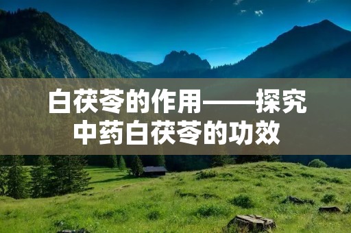 白茯苓的作用——探究中药白茯苓的功效 白茯苓的作用——探究中药白茯苓的功效
