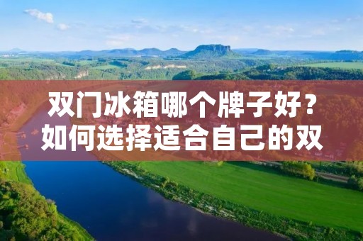 双门冰箱哪个牌子好？如何选择适合自己的双门冰箱？