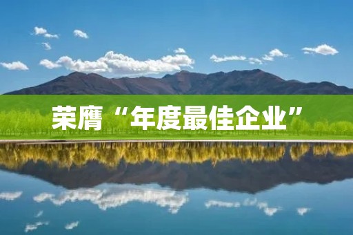 荣膺“年度最佳企业”：探究公司背后的成功之路