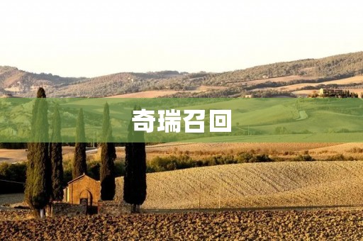 奇瑞召回：质量问题再次引发行业关注