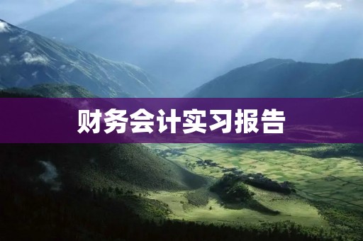 财务会计实习报告