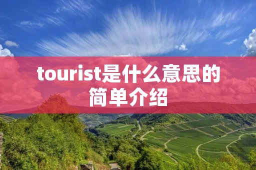 tourist是什么意思的简单介绍