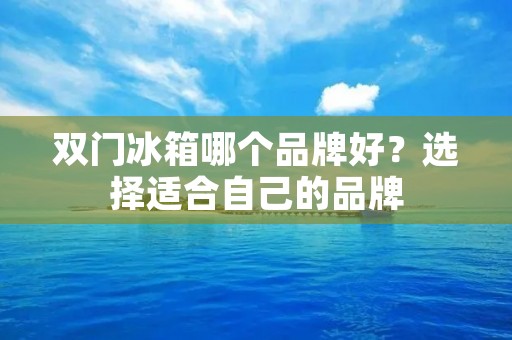 双门冰箱哪个品牌好？选择适合自己的品牌