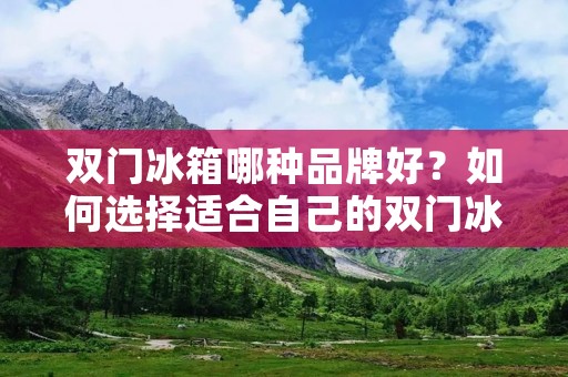 双门冰箱哪种品牌好？如何选择适合自己的双门冰箱？