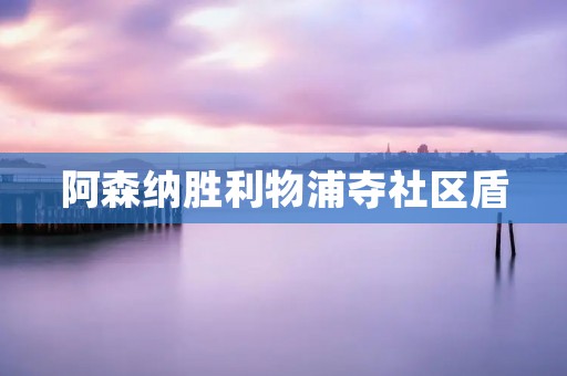阿森纳胜利物浦夺社区盾 阿森纳胜利物浦夺社区盾