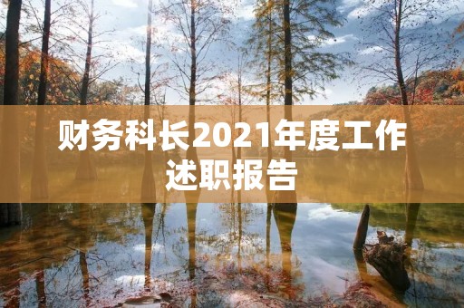 财务科长2021年度工作述职报告