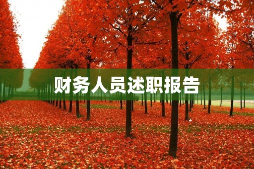 财务人员述职报告:公司财务状况分析与未来规划