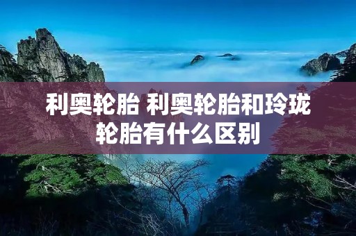 利奥轮胎 利奥轮胎和玲珑轮胎有什么区别