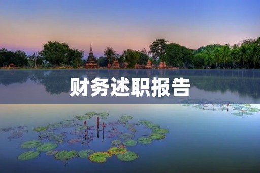 财务述职报告:2019年度财务工作总结与分析