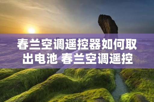 春兰空调遥控器如何取出电池 春兰空调遥控器说明