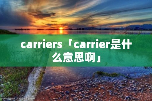 carriers「carrier是什么意思啊」 carriers「carrier是什么意思啊」