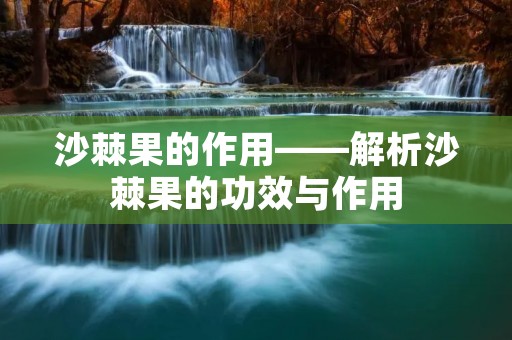 沙棘果的作用——解析沙棘果的功效与作用