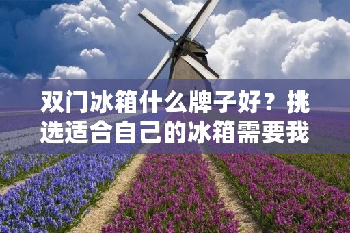 双门冰箱什么牌子好？挑选适合自己的冰箱需要我们综合考虑品牌、功能、价格等多个方面。在众多品牌中，哪些品牌的双门冰箱值得我们选择呢？