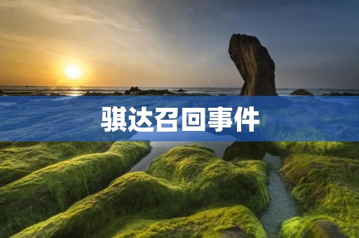 骐达召回事件:汽车安全问题的重要性 骐达召回事件:汽车安全问题的重要性