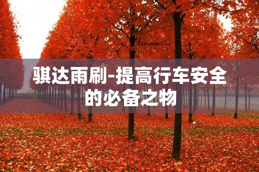 骐达雨刷-提高行车安全的必备之物 骐达雨刷-提高行车安全的必备之物