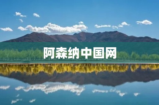 阿森纳中国网：让中国球迷更亲近自己的偶像