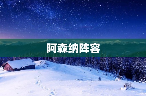 阿森纳阵容:瞄准英超争冠的新阵容 阿森纳阵容:瞄准英超争冠的新阵容